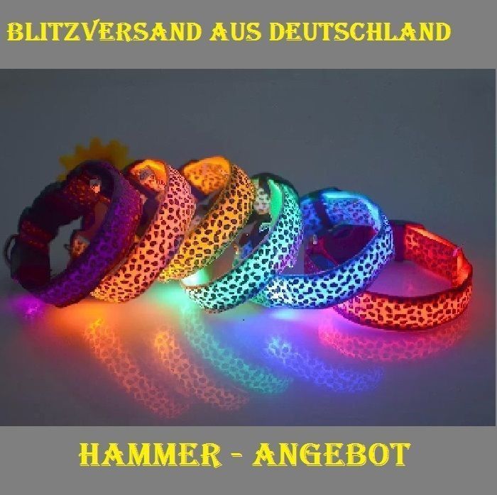 Leucht-/Sicherheitshalsbänder für Hunde