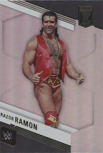 2023 Panini Donruss Elite WWE - Scott Hall #140