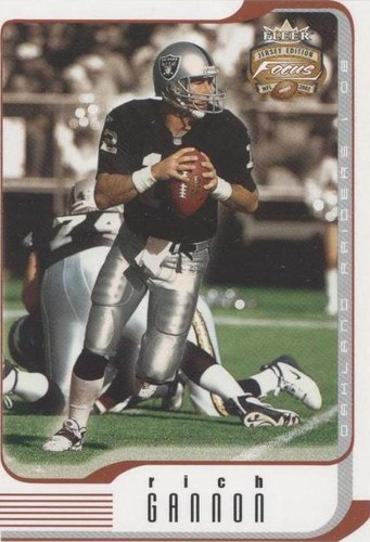 2002 Fleer Focus Jersey Edition Rich Gannon #70