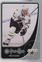 2010-11 O-Pee-Chee - Brad Richards #237