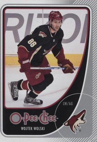 2010-11 O-Pee-Chee - Wojtek Wolski #204