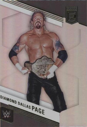 2023 Panini Donruss Elite WWE - Diamond Dallas Page #145