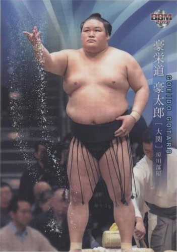 2019 BBM Sumo - Goeido Gotaro #04