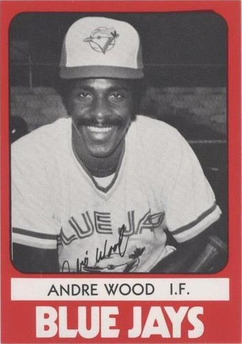 1980 TCMA Minor League - Andre Wood #0560