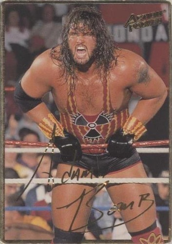 1994 Action Packed WWF - Adam Bomb #14