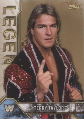 2017 Topps Legends of the WWE - Terry Taylor #90