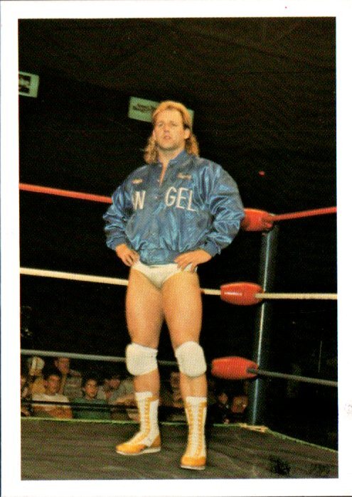 1988 Wonderama NWA Wrestling Card #70 Tommy Angel | eBay