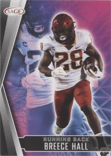 2022 SAGE High Series Breece Hall #184