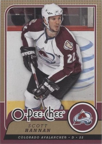 2008-09 O-Pee-Chee - Scott Hannan #387