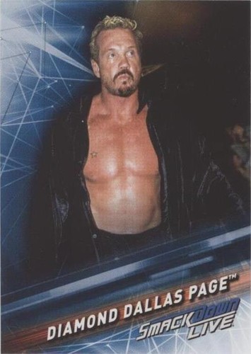 2019 Topps WWE Smackdown - Diamond Dallas Page #72