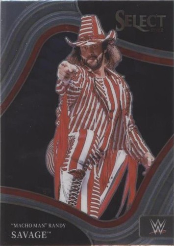 2022 Panini Select WWE - Randy Savage #211