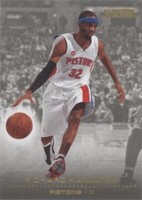 2008-09 Skybox - Richard Hamilton #40