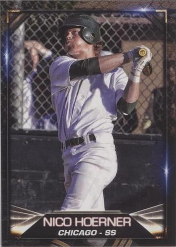 2019 Blowout Cards Test Issue - Nico Hoerner #1