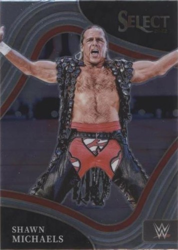 2022 Panini Select WWE - Shawn Michaels #207