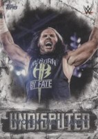 2018 Topps WWE Undisputed - Matt Hardy #26