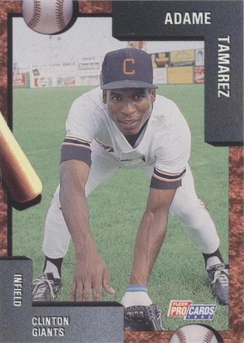 1992 Fleer ProCards Minor League - Adame Tamarez #3606