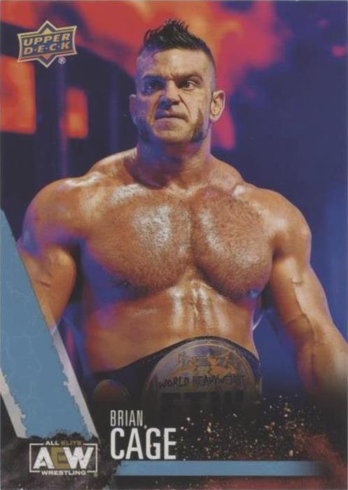 2021 Upper Deck AEW All Elite Wrestling - Brian Cage #45