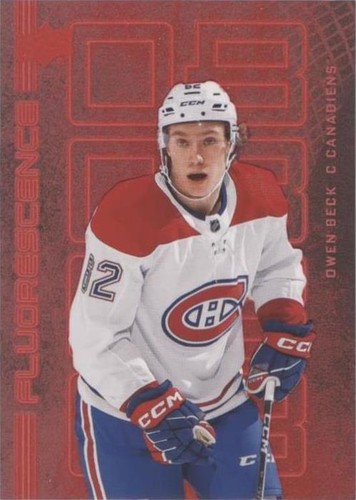 2023-24 Upper Deck Series 2 - Owen Beck #F-2