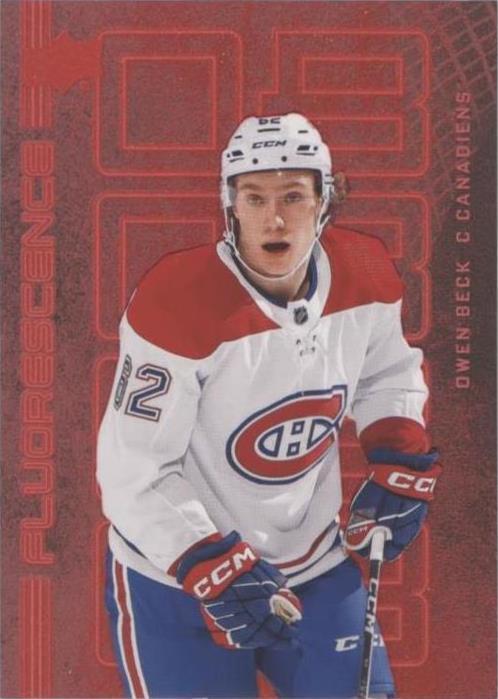 2023-24 Upper Deck Series 2 - Owen Beck #F-2