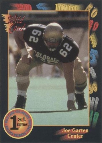 1991 Wild Card Draft Joe Garten #108