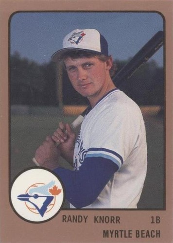 1988 ProCards Minor League - Randy Knorr #1182