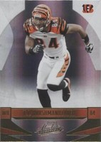 2008 Playoff Absolute Memorabilia T.J. Houshmandzadeh #32