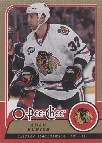 2008-09 O-Pee-Chee - Adam Burish #313