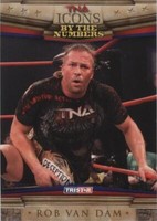 2010 TRISTAR TNA Icons - Rob Van Dam #76