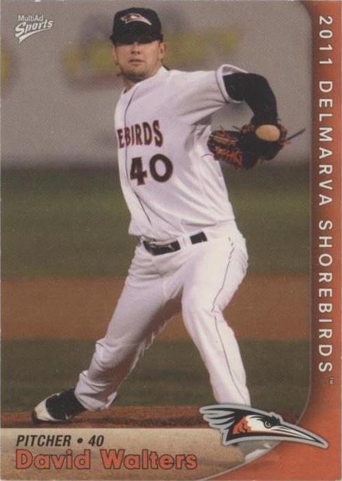 2011 MultiAd Sports Delmarva Shorebirds - Dave Walters #25