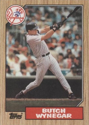 1987 Topps - Butch Wynegar #464