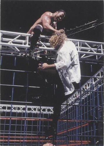 2000 Comic Images WWF Rock Solid - The Rock #55