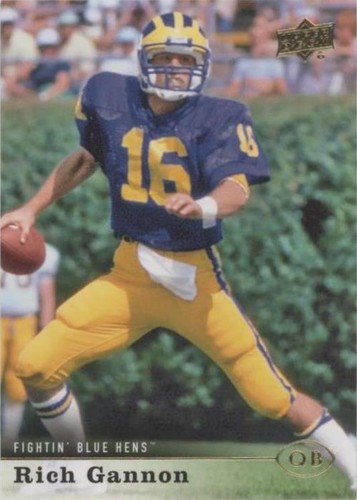 2013 Upper Deck Rich Gannon #29