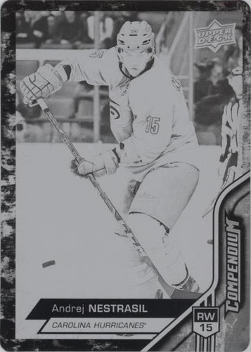 2016-17 Upper Deck Compendium - Andrej Nestrasil #53