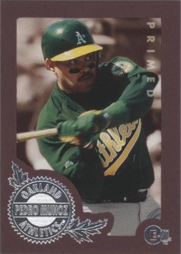 1996 E-Motion XL - Pedro Munoz #105