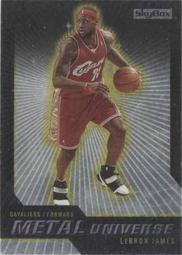 2008-09 Skybox - LeBron James #2