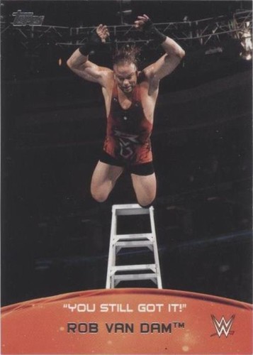 2015 Topps WWE - Rob Van Dam #7