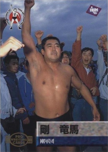 Suzuka Minami 1995 BBM Pro Wrestling #222 | eBay