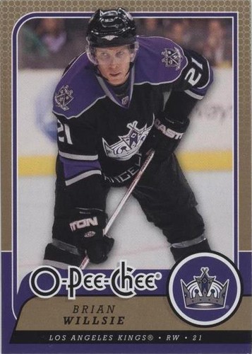 2008-09 O-Pee-Chee - Brian Willsie #316
