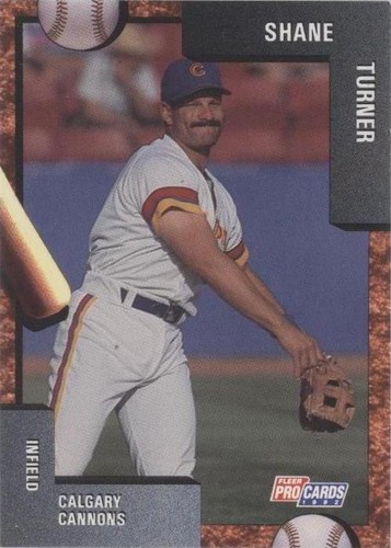 1992 Fleer ProCards Minor League - Shane Turner #3741