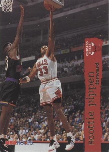 1995-96 NBA Hoops - Scottie Pippen #24