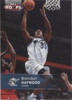 2005-06 NBA Hoops - Brendan Haywood #142