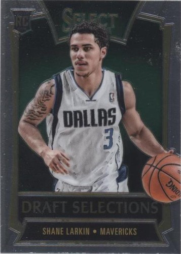 2013-14 Panini Select - Shane Larkin #16