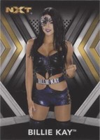 2017 Topps WWE NXT - Billie Kay #8