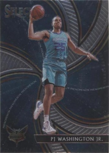 2019-20 Panini Select - PJ Washington Jr. #12