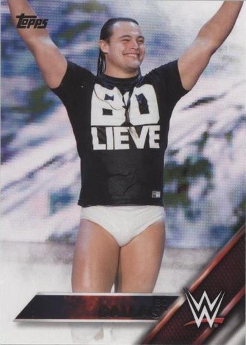 2016 Topps WWE - Bo Dallas #7