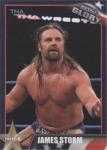 2013 TRISTAR TNA Impact Wrestling Glory - James Storm #15