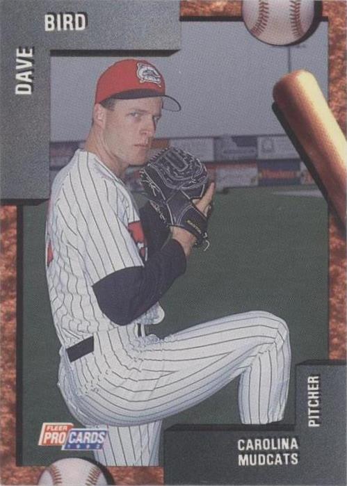 1992 Fleer ProCards Minor League - Dave Bird #1172