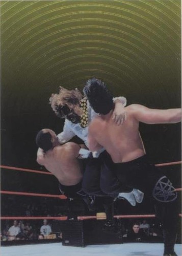 1999 Comic Images WWF SmackDown! Chromium - Mankind #5