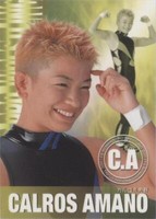 2001 Future Bee Women's Pro-Wrestling Collection - Calros Amano #040