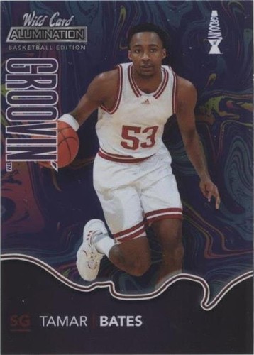 2021-22 Wild Card Alumination - Tamar Bates #BG-43
